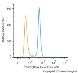 TLR7 Antibody (4G6) - Azide and BSA Free, Novus Biologicals:Antibodies:Primary