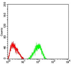 TRAF-2 Antibody (5C2C3) - BSA Free, Novus Biologicals 0.1 ml; Unconjugated:Antibodies,
