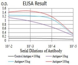 TSH beta Antibody (1D12G1) - BSA Free, Novus Biologicals 0.1mg; Unlabeled:Antibodies,