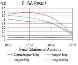 UAP56 Antibody (2F5G7) - BSA Free, Novus Biologicals 0.025 mg; Unlabeled:Antibodies,