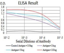 UCP2 Antibody (6C8B3) - BSA Free, Novus Biologicals:Antibodies:Primary