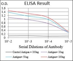 UbcH10/UBE2C Antibody (1F5D3) - BSA Free, Novus Biologicals 0.1mg; Unlabeled:Antibodies,