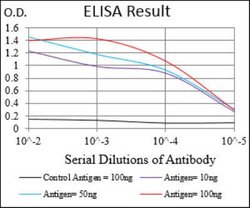 Villin 1 Antibody (5E3B2) - BSA Free, Novus Biologicals:Antibodies:Primary