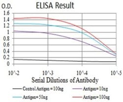 ZFP91 Antibody (7G11H2) - BSA Free, Novus Biologicals 0.1 ml; Unconjugated:Antibodies,