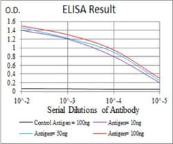 beta I Tubulin Antibody (2A1A9) - BSA Free, Novus Biologicals 0.1mg; Unlabeled:Antibodies,