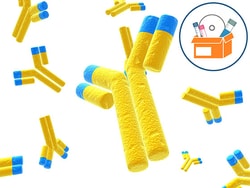 Mouse Monoclonal anti-HA (12CA5)-Cy5 Control Antibody, PEPperCHIP Quantity: