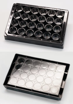 X56 24-well clear bottom PS microplate Black, Tissue Culture Treated. With
