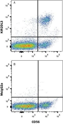 Human KIR2DL3/CD158b2 Antibody, R D Systems 25&mu;g; Unlabeled:Antibodies,