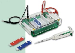 Scie Plas&nbsp;Mini - Plusi Gel Electrophoresis Unit