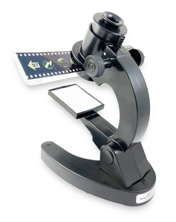 Supertek Microslide Harmful and Helpful Bacteria Microslide&trade; Harmful