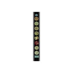 Supertek Microslide Harmful and Helpful Bacteria Microslide&trade; Harmful