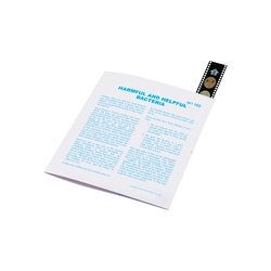 Supertek Microslide Harmful and Helpful Bacteria Microslide&trade; Harmful