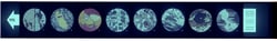 Supertek™ Microslide™ How Rocks are Formed