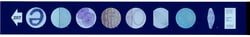 Supertek™ Microslide™ The Microscope - A Tool for Learning