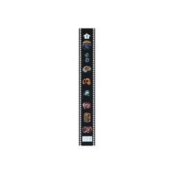Supertek™ Microslide™ Human Fetal Development