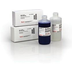 Thermo Scientific™ Pierce™ Mini Gel Power Staining Kit