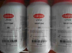 Thermo Scientific Oxoid DRIGALSKI (MILIEU DE), Quantity: 500g