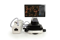 Invitrogen™ EVOS™ M5000 Imaging System