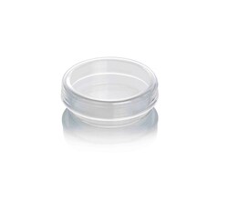Pyrex Borosilicate Glass Petri Dishes 55 mm | Buy Online | Pyrex | Fisher Scientific