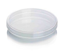 Pyrex Petrisk lar av borosilikatglas 143 mm | Buy Online | Pyrex | Fisher Scientific