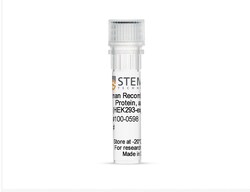 Stemcell Technologies 500UG Human Recombinant ACE2 Protein, aa18-740 (HEK293-expressed),