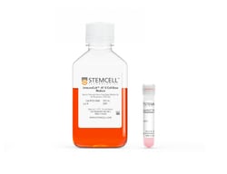 Stemcell Technologies 100ML ImmunoCult-XF B Cell Base Medium, Quantity: