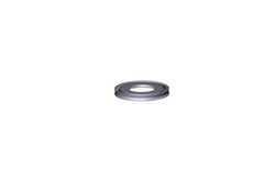 Waters Extraction Cone Seal Ring, Quantity: Each