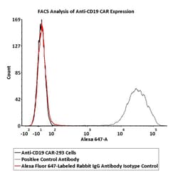 ACROBiosystems&nbsp;Alexa Fluor&trade; 647-Labeled Rabbit IgG Antibody Isotype Control (0.03% Proclin)