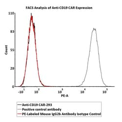 ACROBiosystems&nbsp;PE-Labeled Mouse IgG2b Antibody Isotype Control