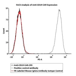 ACROBiosystems&nbsp;PE-Labeled Mouse IgG2a Antibody Isotype Control