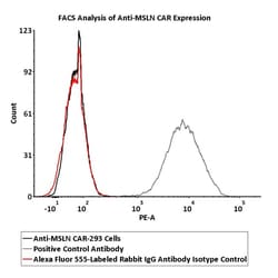 ACROBiosystems&nbsp;Alexa Fluor&trade; 555-Labeled Rabbit IgG Antibody Isotype Control (0.03% Proclin)