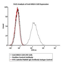 ACROBiosystems&nbsp;FITC-Labeled Rabbit IgG Antibody Isotype Control (0.03% Proclin)