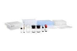 Waters ProteinWorks eXpress Direct Digest Start-up Kit, Quantity: 1 kit