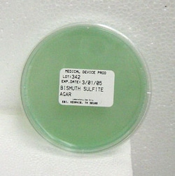 Edge Biologicals&nbsp;Dehydrated Culture Media: Mycobiotic Agar