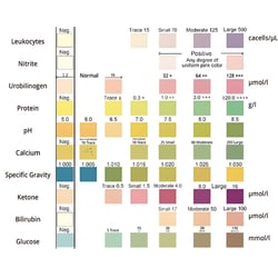 EDVOTEK Tracking Health Through Urinalysis: A Case-Based Clinical Simulation 10 Lab Groups | Buy Online | EDVOTEK&trade; | Fisher Scientific