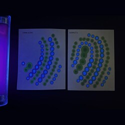 EDVOTEK Precision and Proof : Forensic Biotechnology Skills Training 9+ | Buy Online | EDVOTEK&trade; | Fisher Scientific