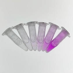 EDVOTEK™ From Field to Flask : Investigating Nitrogen Impact on Waterways