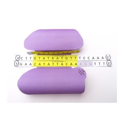 EDVOTEK™ Origami Organelles CRISPR Model