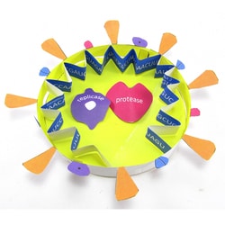 EDVOTEK™ Origami Organelles Coronavirus Model