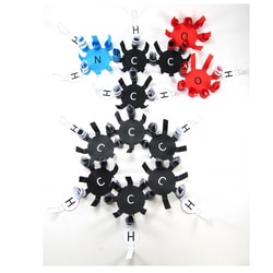 EDVOTEK™ Origami Organelles Amino Acids Model