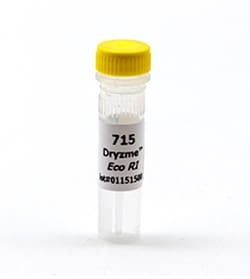 Dryzyme&trade; Restriction Enzymes