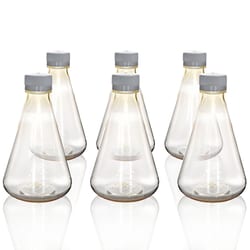 Eisco Labs Sterile Polycarbonate Erlenmeyer Flasks with Flat Bottom 1 L | Buy Online | Eisco Labs | Fisher Scientific