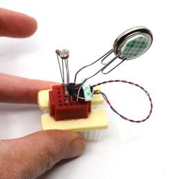 Eisco Science Fair Kits - Light Sensitive Bristlebot Kit 10 to 18 | Buy Online | Eisco&trade; | Fisher Scientific