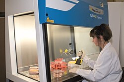 Envair UV Lamp for Envair Safety Cabinets UCS, SCS, SCS Evo 3/4 Cupboards | Buy Online | Envair&trade; | Fisher Scientific