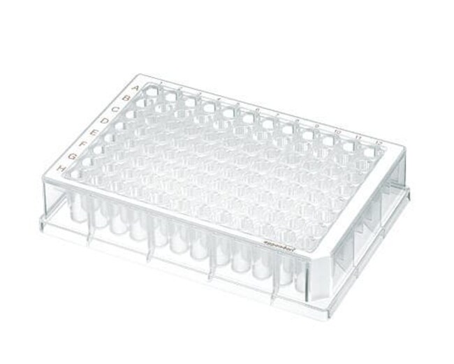 Eppendorf™ 96Well Protein LoBind Deep Well Plates Volume 500μL