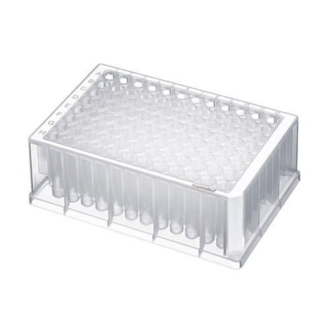 Eppendorf™ 96Well Protein LoBind Deep Well Plates Volume 1000μL, 80