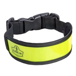 Ergodyne GloWear 8001 Arm and Leg Band with Buckle Lime | Buy Online | Ergodyne&trade; | Fisher Scientific
