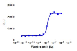 DiscoverX Wortmannin 1 mg | Buy Online | DiscoverX | Fisher Scientific