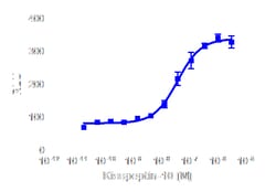 DiscoverX Kisspeptin-10/Metastin 1 mg | Buy Online | DiscoverX | Fisher Scientific