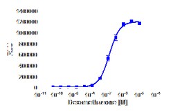 DiscoverX Dexamethasone 10 mg | Buy Online | DiscoverX | Fisher Scientific